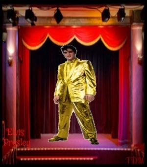 300 ELVIS PRESLEY GOLD SUIT STANDING ON RED STAGE TDMUSIC photo 6c49995a-7641-4cd2-856b-2eac147eb28a_zpsp4krjfwh.jpg