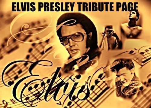 500 ELVIS PRESLEY TRIBUTE PAGE  ELVIS BOOMERS ELVIS PRESLEY TRIBUTE TCB photo 500 ELVIS PRESLEY TRIBUTE PAGE SIGN BOOMERS NEW YES NEW NOW_zpswlnejuba.jpg