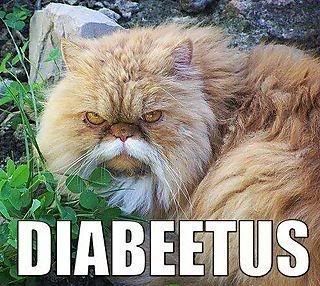 diabeetus-cat.jpg