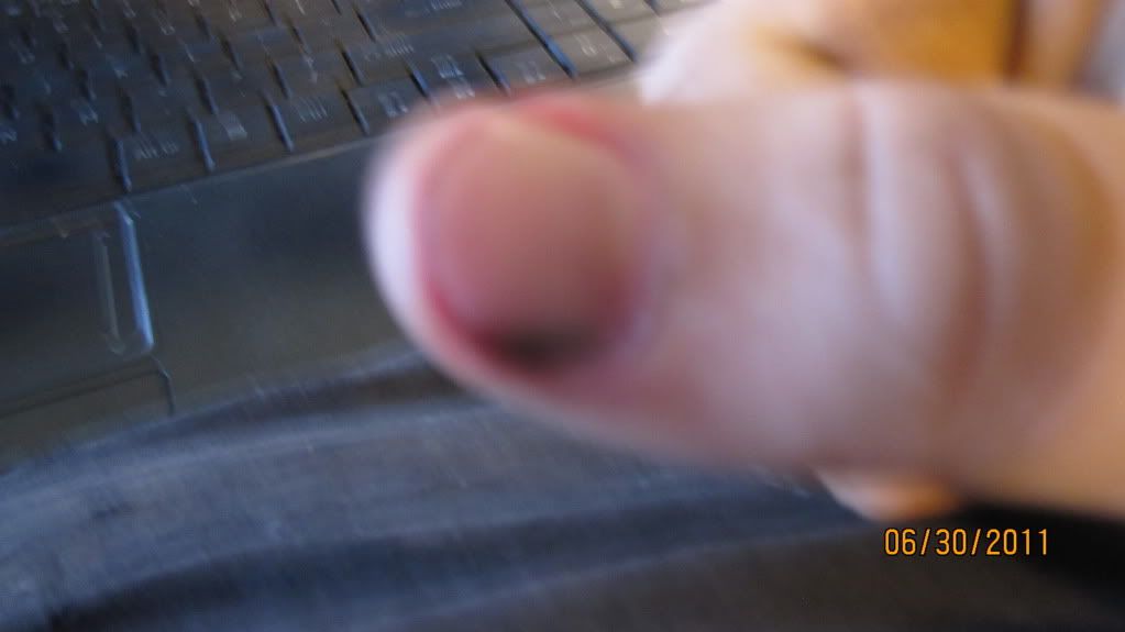 thumb.jpg