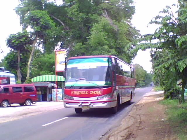 Bus Mania