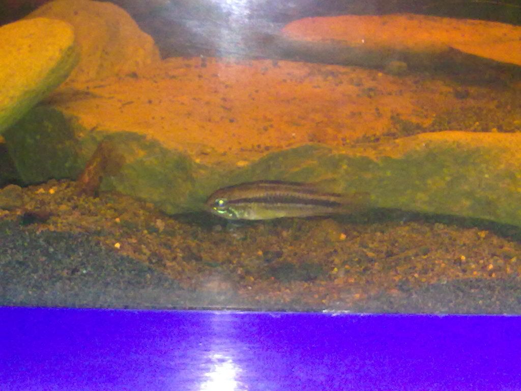 070520122146.jpg