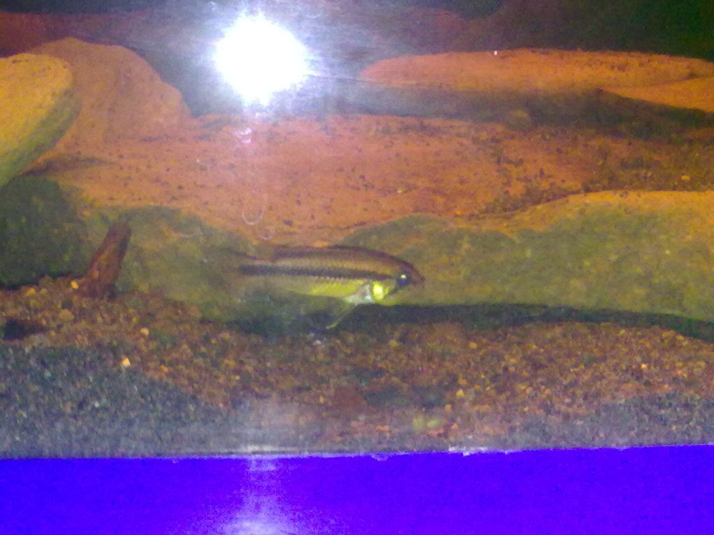 070520122147.jpg