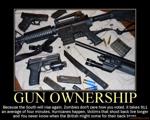 gun-ownership-demotivational-poster-1221603758.jpg