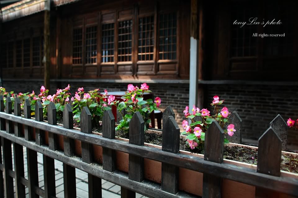 http://i1026.photobucket.com/albums/y330/tonylin2010/nature/021.jpg