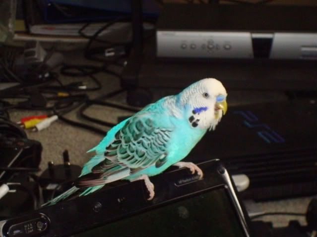 DSC01722.jpg