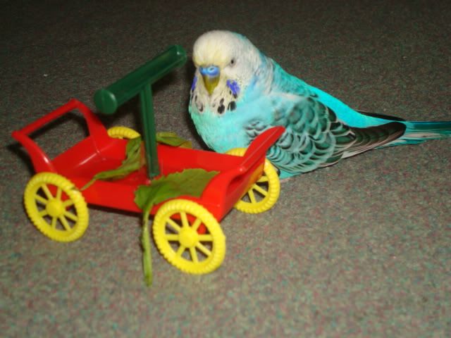 DSC02068.jpg