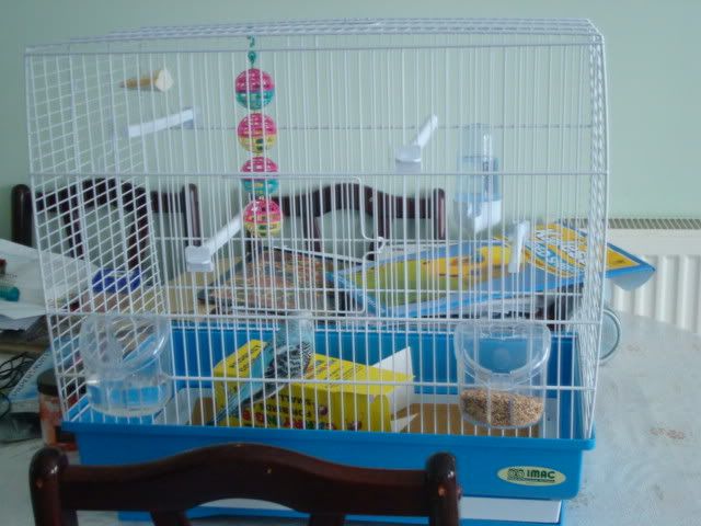 DSC01107.jpg