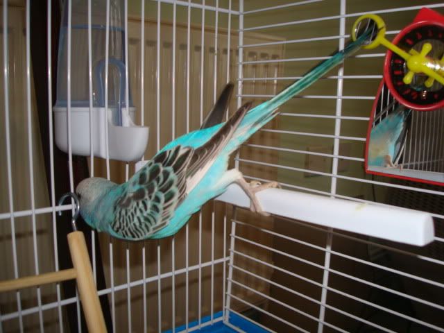 DSC01128.jpg