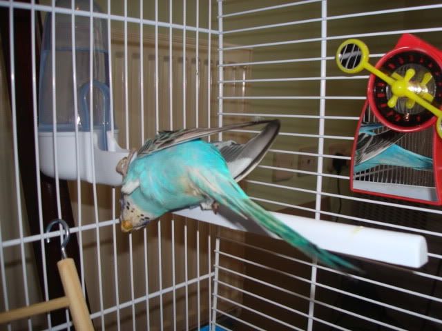 DSC01129.jpg