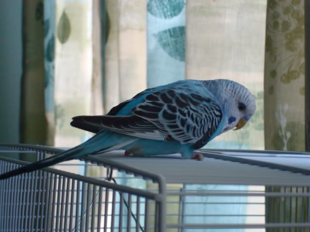 DSC01215.jpg