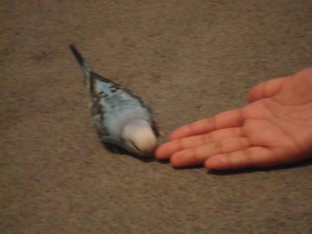 DSC01395.jpg
