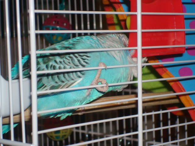 DSC01617.jpg
