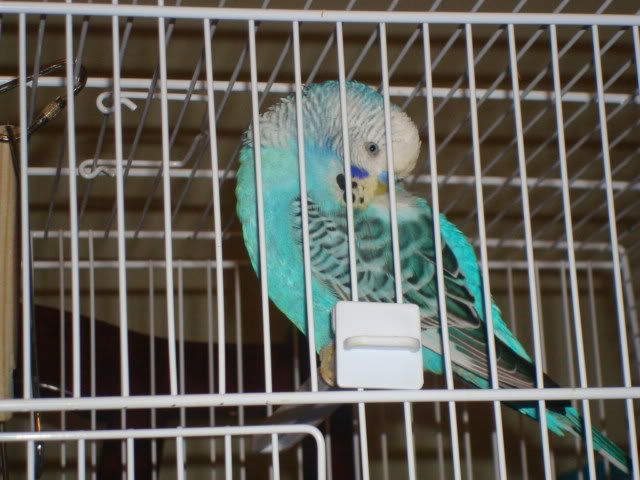 DSC01621.jpg