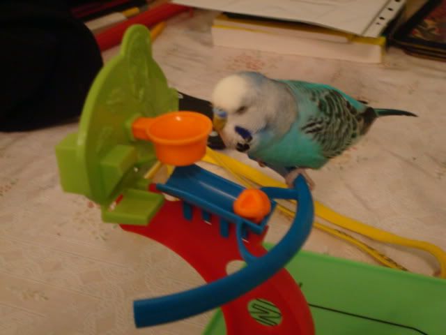 DSC01704.jpg