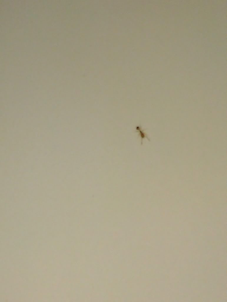 IMAG0519.jpg