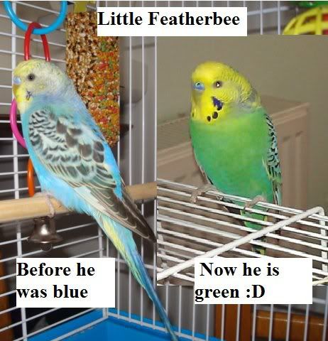 changeinhuckle.jpg