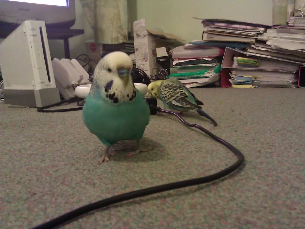 lovesthecamera.jpg