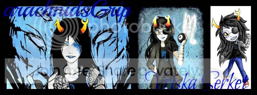 Role-Playing guild banner