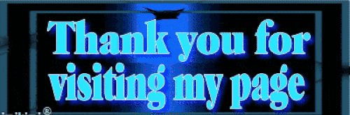  photo 500 ANIMATED BLUE FLASHING LIGHTS THANK YOU FOR VISITING MY PAGE NEW NEW_zpskb3eqegm.gif