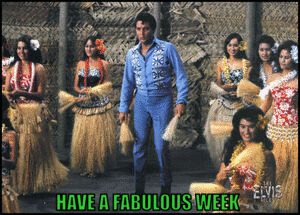 300 ELVIS MOVIE P HAWIIAN STYLE HAVE A FABULOUS WEEK photo 300 HAVE A F WE_zps0nbmnxjs.gif