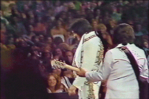 500 ANIMATED VIDEO GIF ELVIS PRESLEY BOWING TO AUDIANCE TDMUSIC photo 500 ANIMATED VIDEO GIF ELVIS PRESLEY BOWING TO AUDIANCE NEW_zpswkkdrbyp.gif