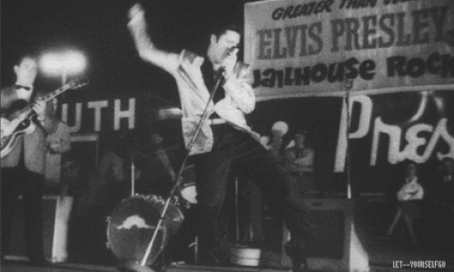 500 ANIMATED VIDEO ELVIS PERFORMING OUTDOOR STAGE L HAYRIDE photo 500 ANIMATED ELVIS OUTDOOR STAGE SINGING_zpsg5mxvcne.gif